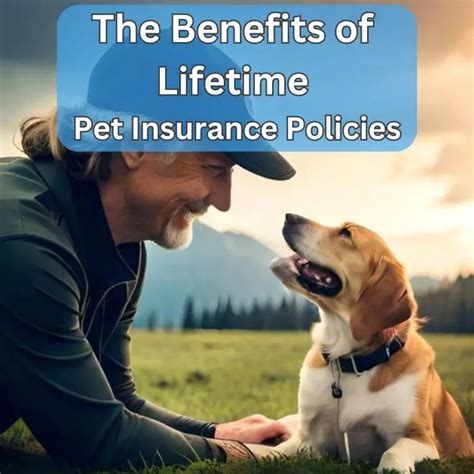 lifetime pet insurance policies.